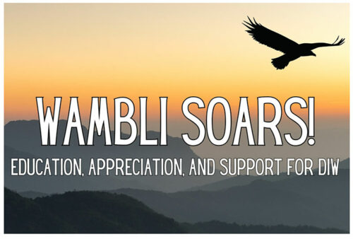 Big Spirit Inc. Sponsors WAMBLI SOARS! Fundraiser